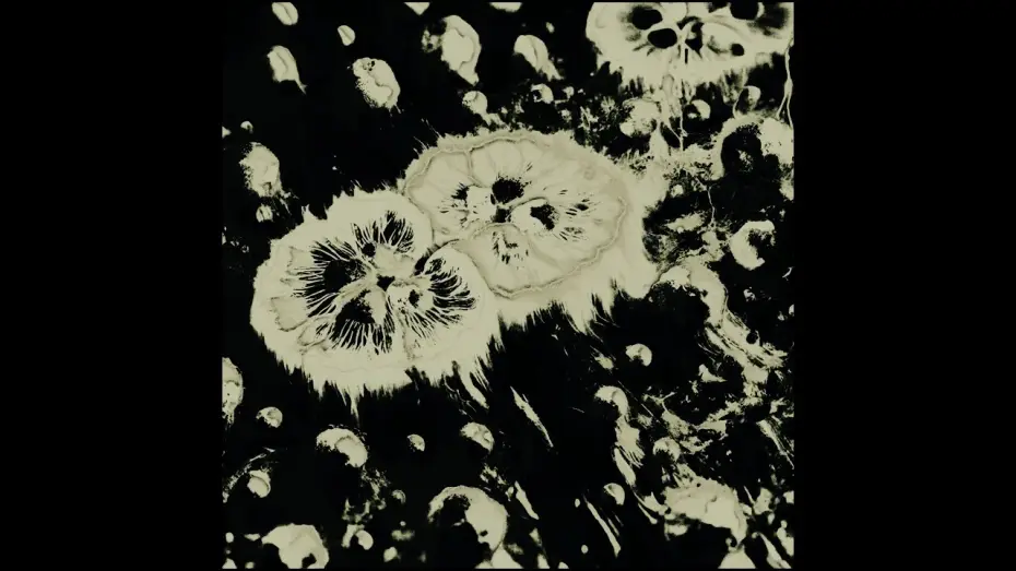 Video for the film Karyokinesis — Karyokinesis - Carlos Lacasa & Pedro Roldán