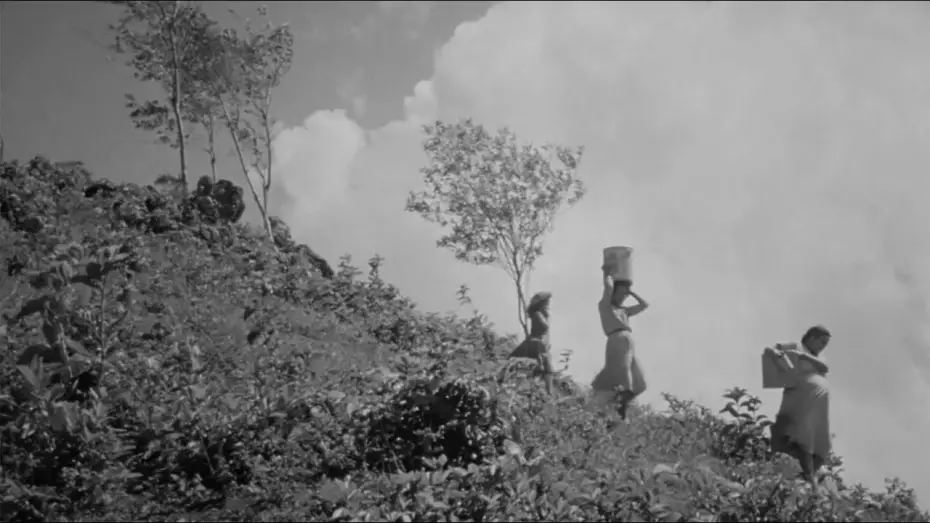 Video for the film Everything Seemed Possible — Todo Parecía Posible – trailer | IFFR 2025