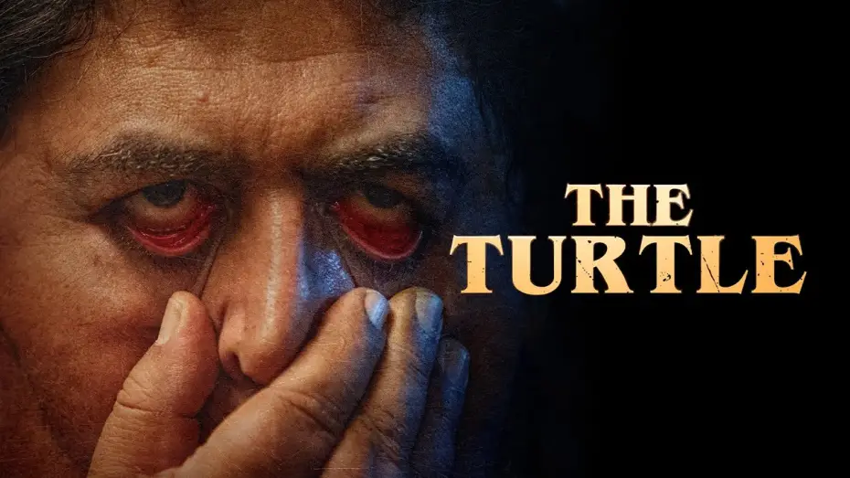 Video for the film The Turtle — Official Trailer