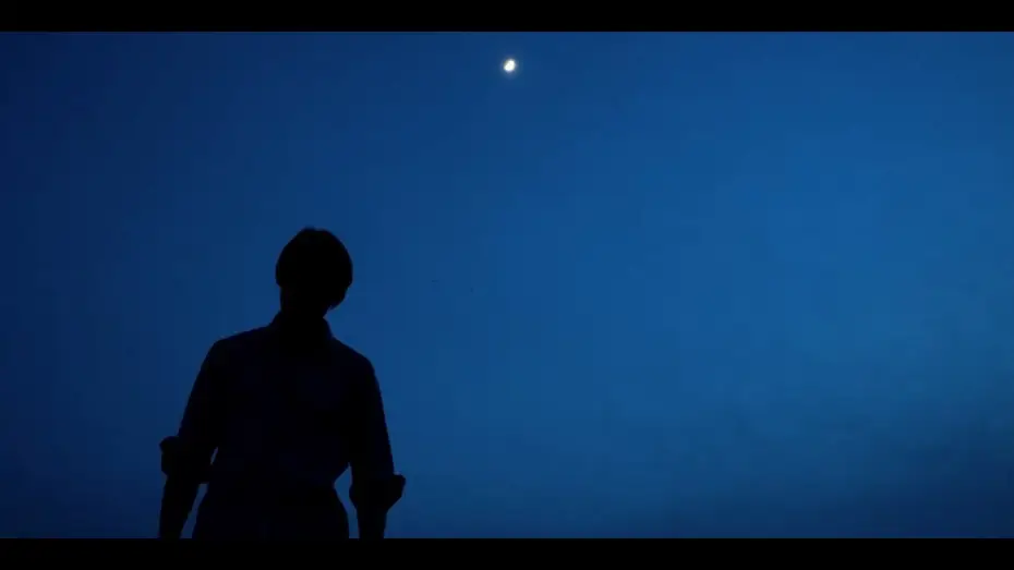 Video for the film Blood Money — BLOOD MONEY III TRAILER