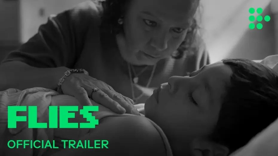 Video for the film Flies — Official Trailer [Subtitled]