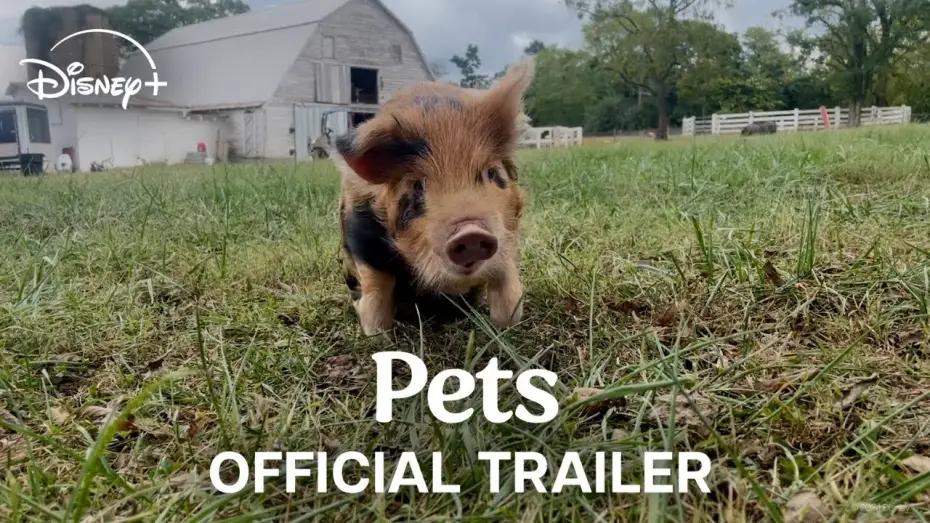 Video for the film Pets — Official Trailer