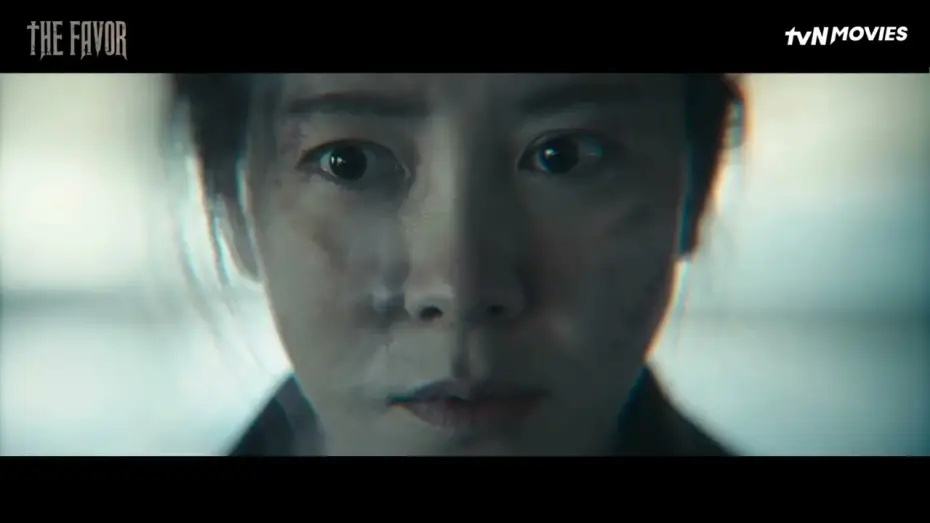 Video for the film The Favor — The Favor | tvN Movies