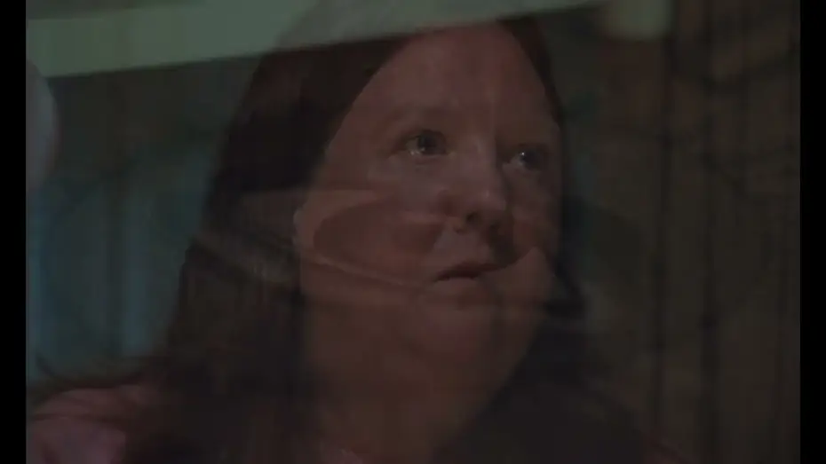 Video for the film I Walked Through the Wall — I WALKED THROUGH THE WALL. TRAILER. SEFF 2026