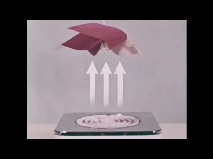 Video for the film Wind and What It Does — Wind And What It Does (1963)
