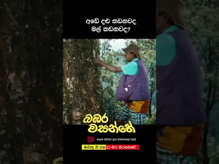Video for the film Bambara Wasanthe — අඩේ දළු කඩනවද මල් කඩනවද?!!?
