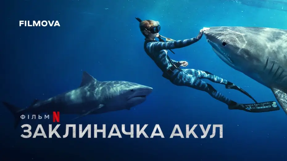 Video for the film Shark Whisperer — Український трейлер