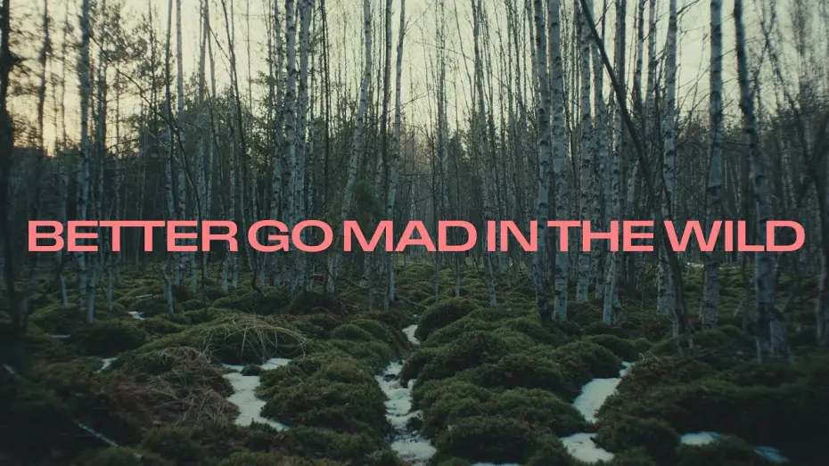 Video for the film Better Go Mad in the Wild — BETTER GO MAD IN THE WILD (trailer)