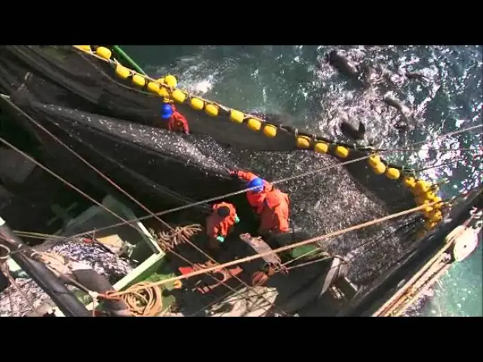 Video for the film Planet Ocean — Planet Ocean: il trailer del film-documentario di Yann Arthus-Bertrand