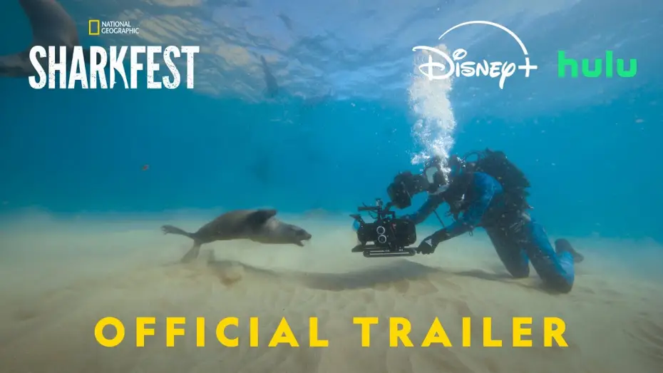 Video for the film Sharks Up Close with Bertie Gregory — Official Promo