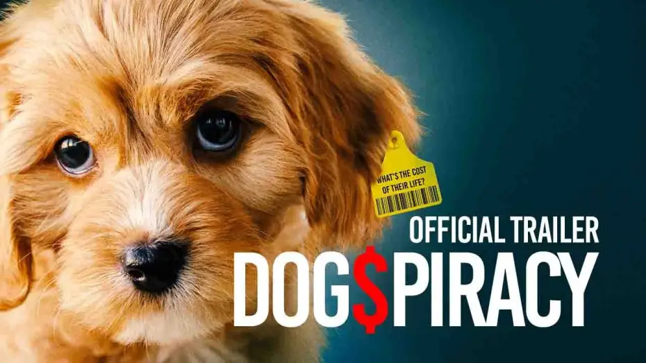 Video for the film Dogspiracy — Trailer