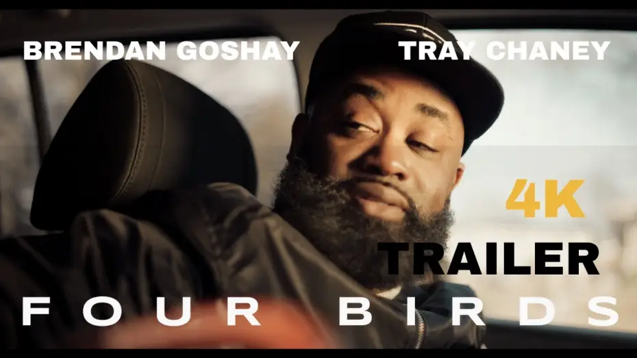 Video for the film Four Birds — FOUR BIRDS - Official Trailer [4K]