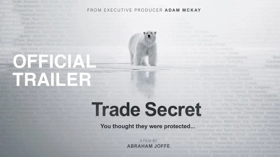Video for the film Trade Secret — Trade Secret | OFFICIAL TRAILER