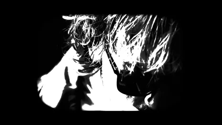 Video for the film Palliative — The Story Of Brian Begins.