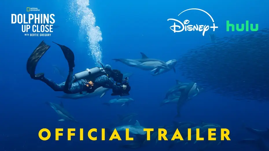 Video for the film Dolphins Up Close with Bertie Gregory — Official Trailer