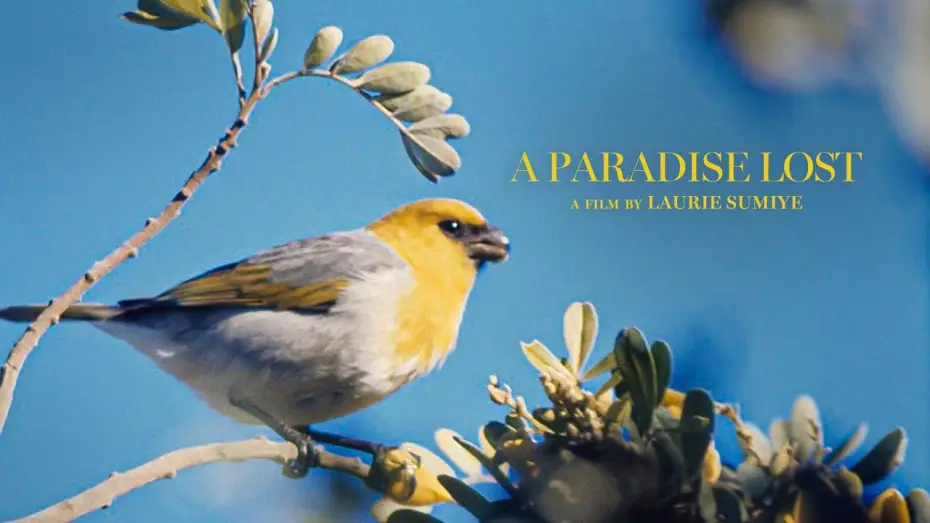 Video for the film A Paradise Lost — A PARADISE LOST TRAILER
