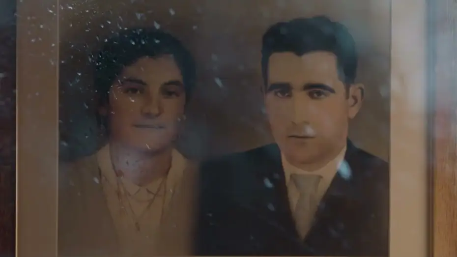 Video for the film Il n'y aura jamais assez d'images — Il n'y aura jamais assez d'images (Nuncá havera imagens suficientes) / bande-annonce (2025)