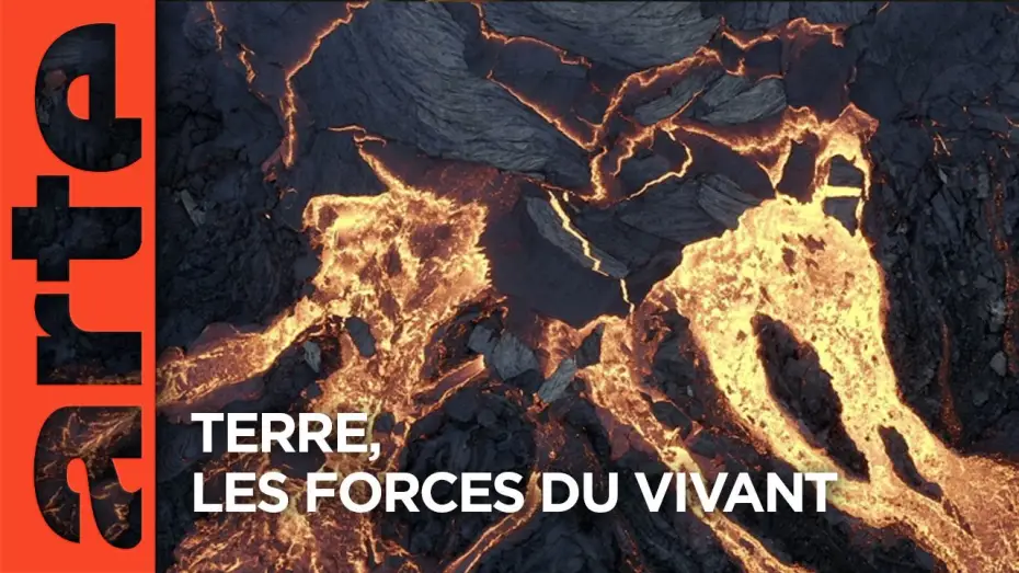 Video for the film Terre, Les Forces du Vivant — Terre, les forces du vivant | Documentaire | ARTE