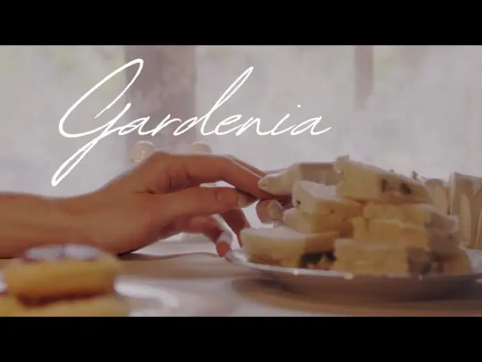 Video for the film Gardenia — Gardenia