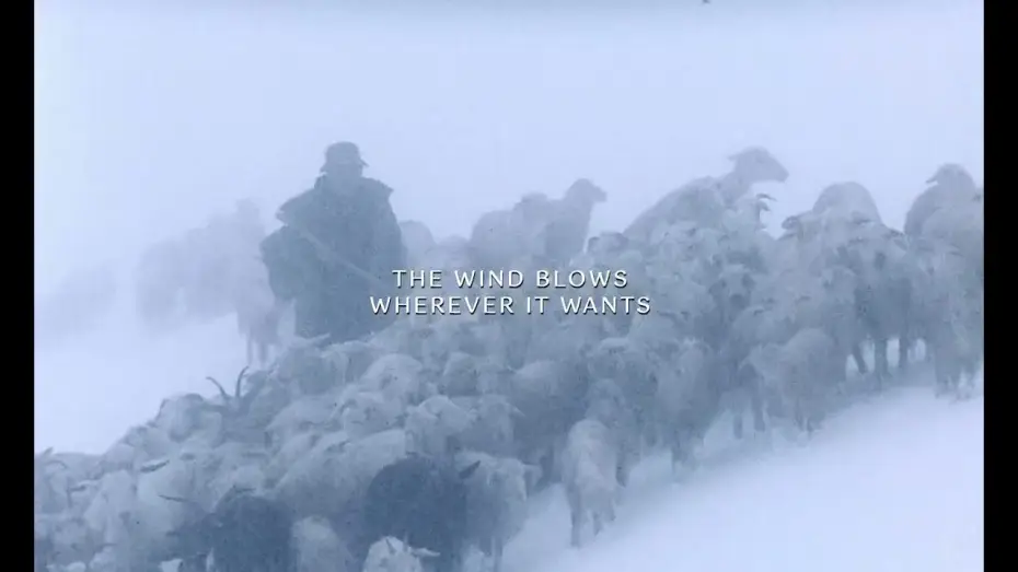 Video for the film The Wind Blows Wherever It Wants — "The Wind Blows Wherever It Wants" 2025 Trailer