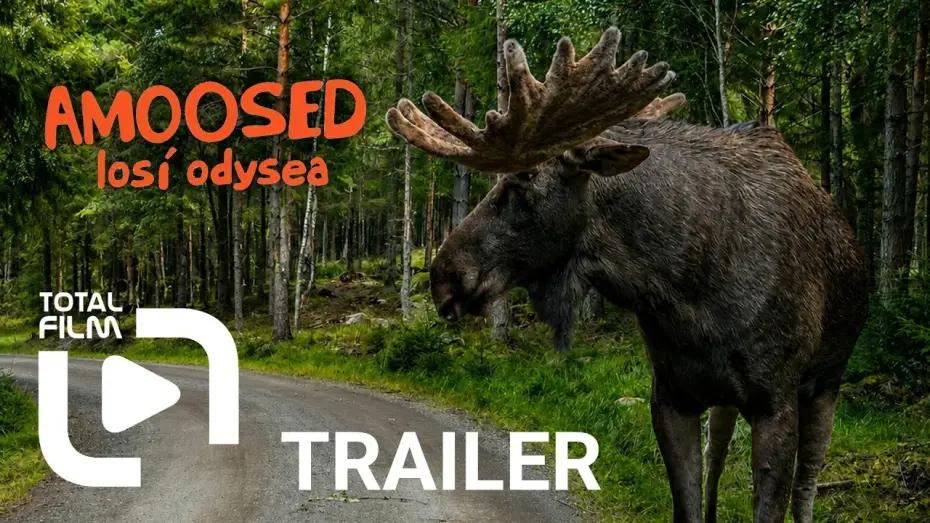 Video for the film AMOOSED: a moose odyssey — Amoosed: losí odysea (2025) HD trailer