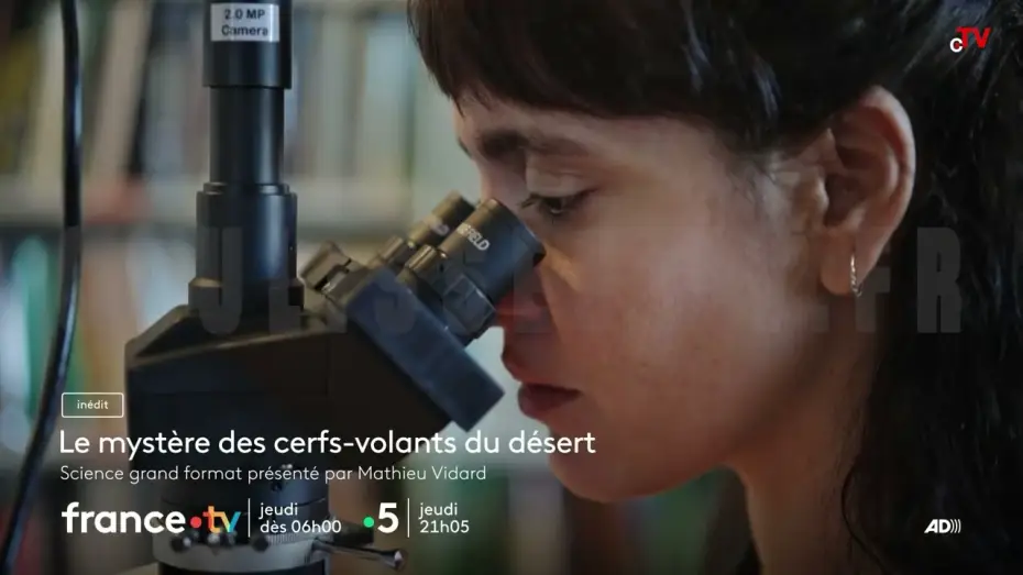 Video for the film Le mystère des cerfs-volants du désert — Le mystère des cerfs-volants du désert jeudi 4 décembre 2025 sur France 5
