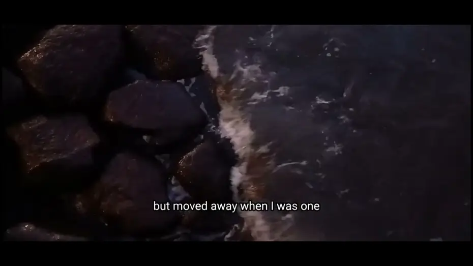 Video for the film When the Water Stops Flowing — Screening of my video essay "When the Water Stops Flowing" on January 3rd, 2026