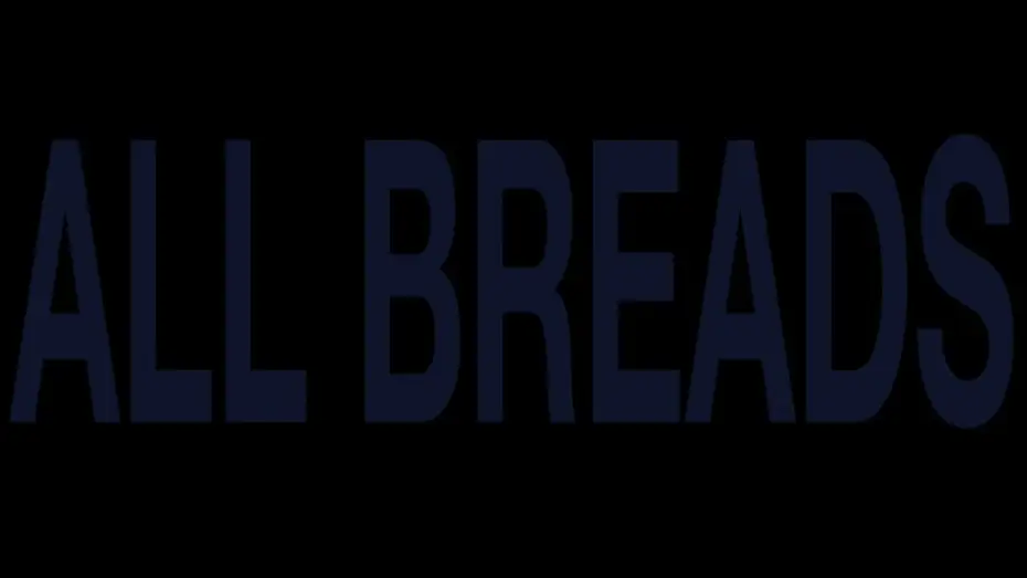 Video for the film ALL BREADS — ALL BREADS