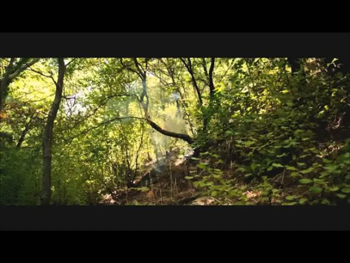 Video for the film Jîn — Jin - Trailer - Stockholm International Film Festival 2013