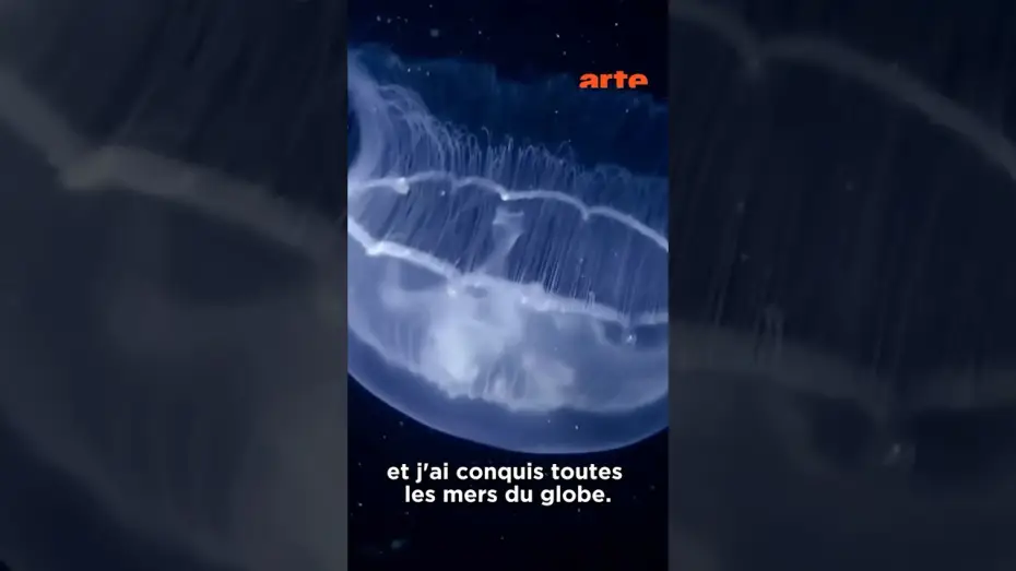 Video for the film Le grand cirque des marées — Les souveraines des océans 🌊 #arteévasion #méduse #animaux
