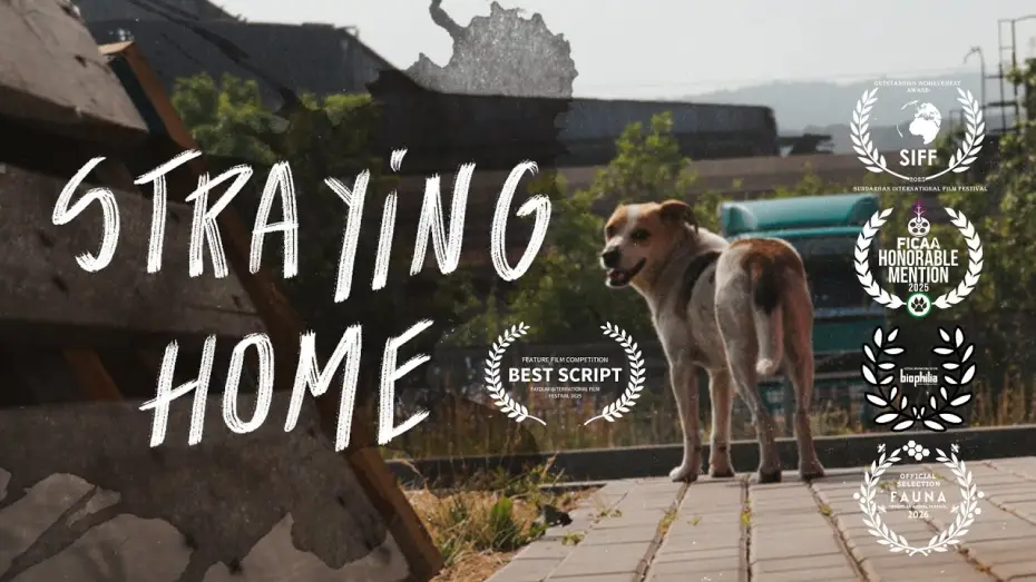 Video for the film Straying home — Straying home. A film essay with urban animals