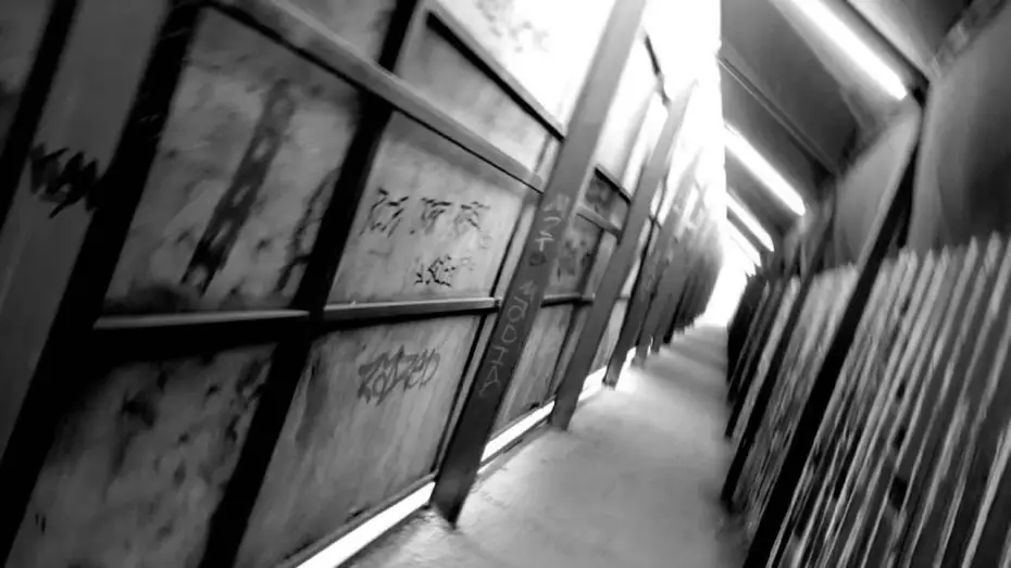 Video for the film Chaos in The City — Chaos in the City | The Stillness of a Dead Avenue (Documentary)