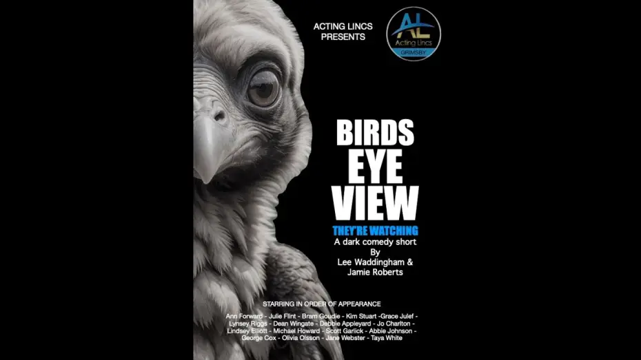 Video for the film Birds Eye View — BIRDS EYE VIEW