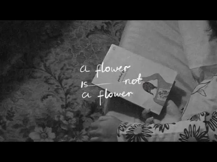 Video for the film A Flower is Not a Flower — A FLOWER IS NOT A FLOWER - Teaser Trailer