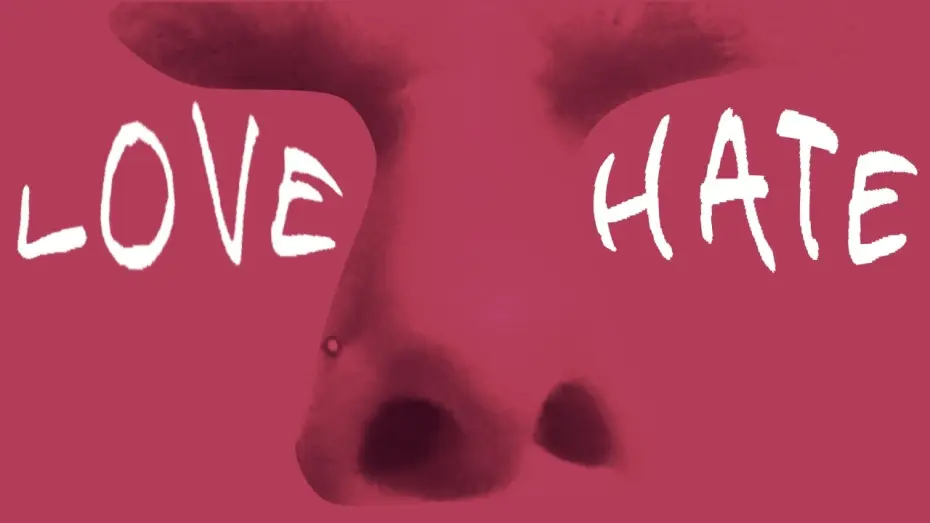 Video for the film I Love/Hate The Aide — I Love/Hate The Aide | Music Short Film