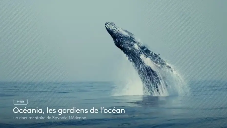 Video for the film Océania, les gardiens de l'océan — [Bande annonce] Océania, les gardiens de l'océan