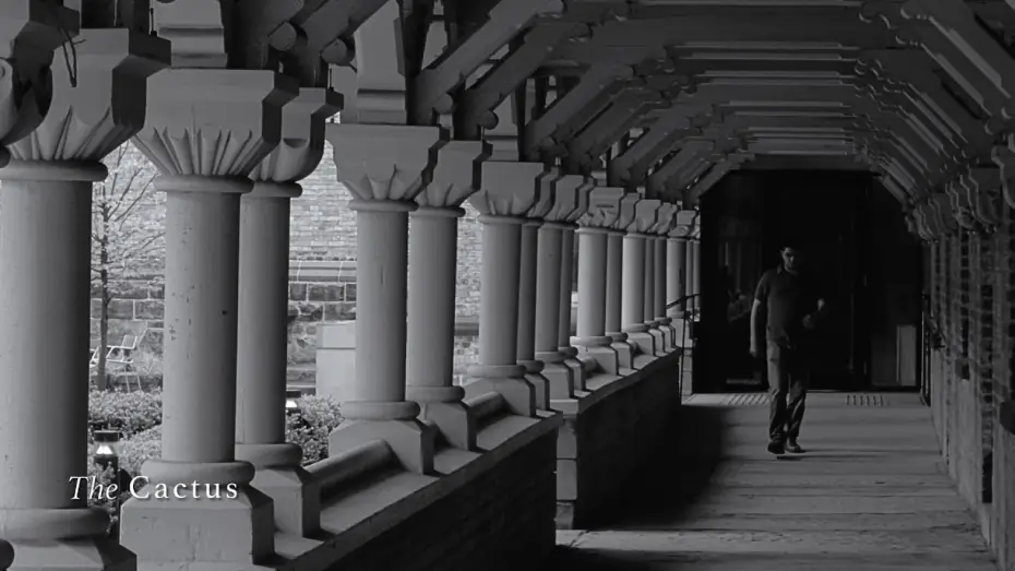 Video for the film The Cactus — Trailer | The Cactus | 2025 | David Crocpsy Li