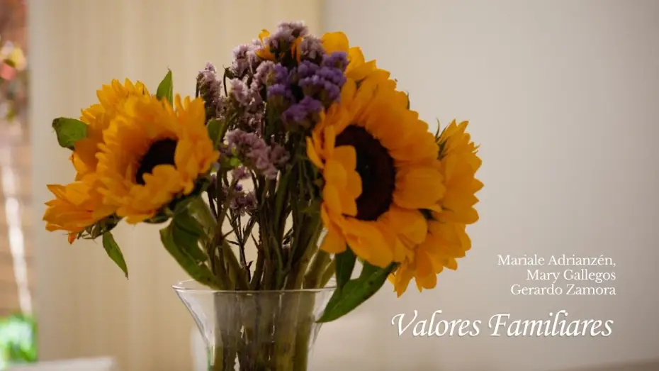 Video for the film Valores Familiares — "Valores Familiares" - cortometraje