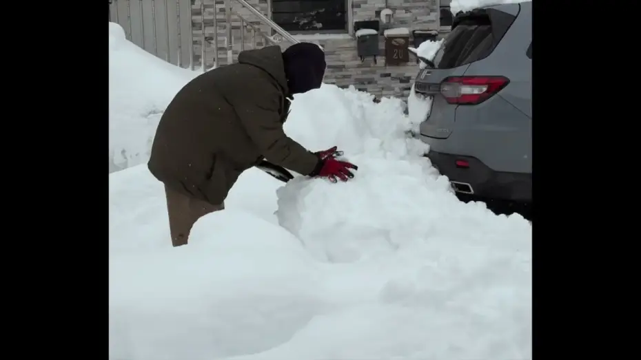 Video for the film Snowday — Snowday