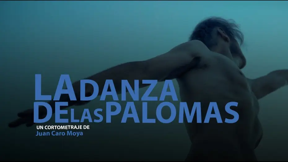 Video for the film La danza de las palomas — LA DANZA DE LAS PALOMAS | TEASER TRAILER | YAQ DISTRIBUCION | CORTOMETRAJE | SHORTFILM