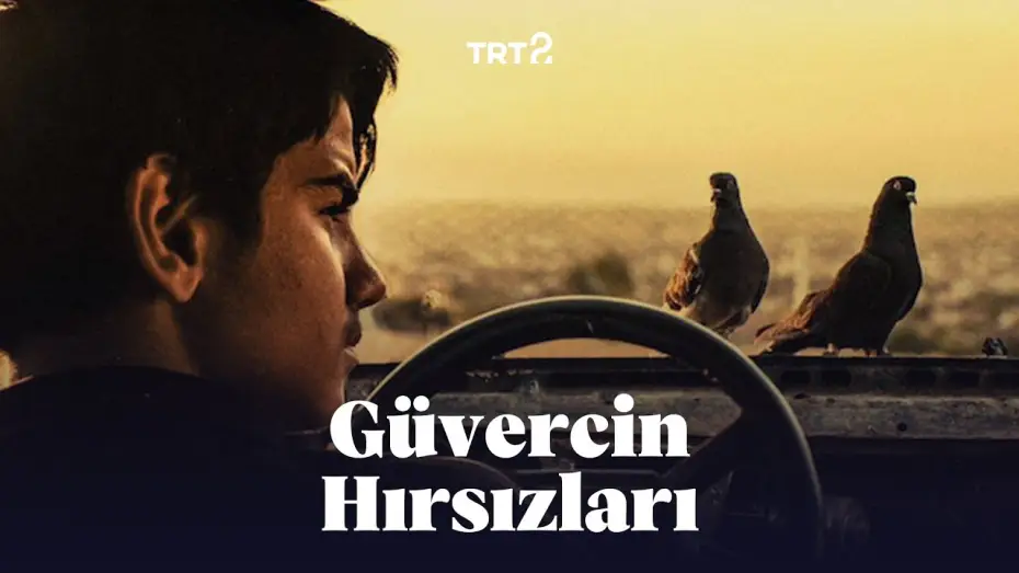 Video for the film Güvercin Terbiyecisi Hammal — Güvercin Hırsızları | Fragman