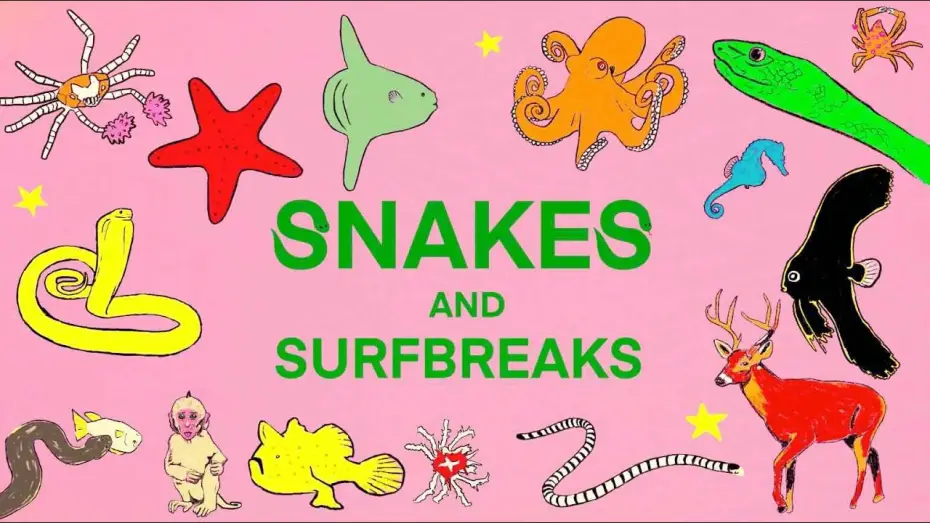 Video for the film Snakes and Surf Breaks — SNAKES and SURF BREAKS - Indonesia (EXTENDED EDITION TRAILER)