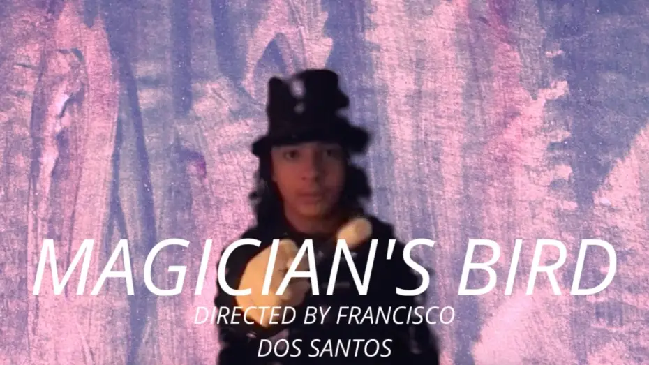 Video for the film Magician's Bird — The Magician's Bird | Full Film | Directed By Francisco Dos Santos