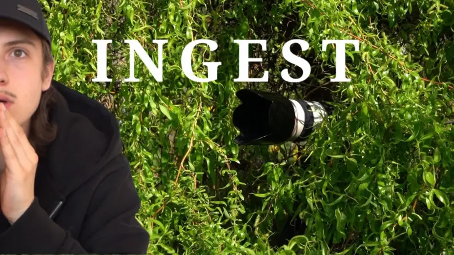 Video for the film Ingest — INGEST 2026