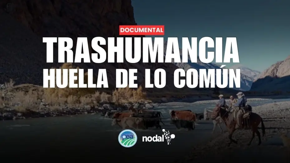 Video for the film TRASHUMANCIA. HUELLA DE LO COMÚN — TRASHUMANCIA. HUELLA DE LO COMÚN | Documental del Centro de estudios Agrarios y NODAL