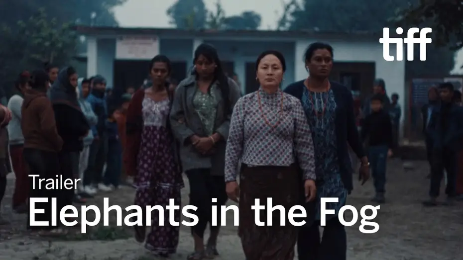 Video for the film Elephants in the Fog — ELEPHANTS IN THE FOG Trailer | TIFF 2026