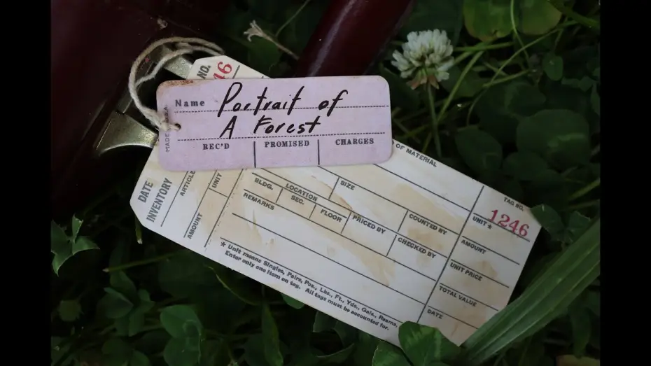 Video for the film Portrait of a Forest — Portrait of a Forest