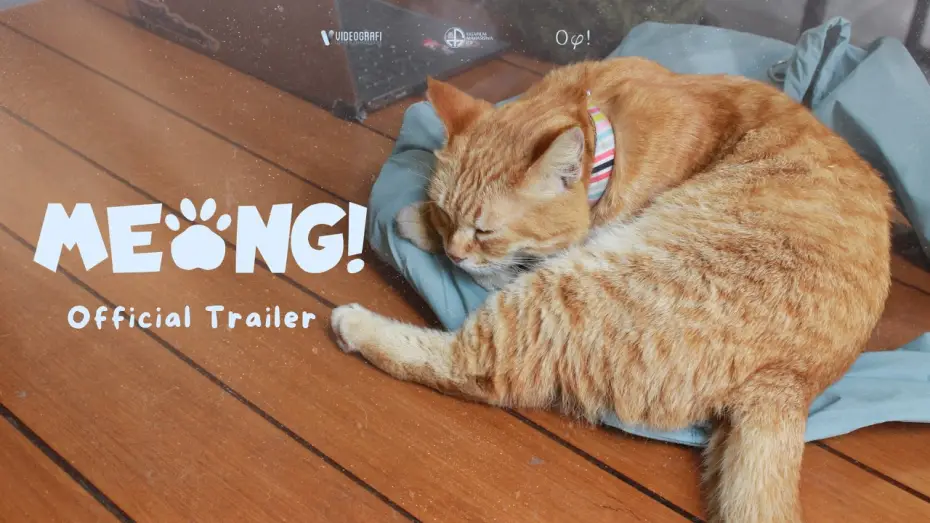 Video for the film Meong! — Meow! (2026) - Trailer