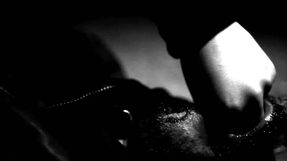 Video for the film Bullet Collector — "Собиратель пуль/Bullet Collector", (2011) - тизер