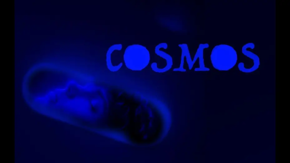 Video for the film Cosmos — COSMOS